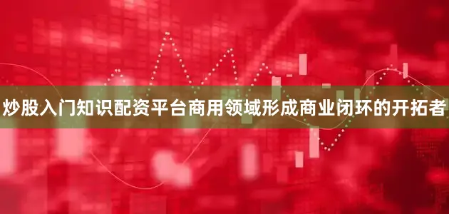 炒股入门知识配资平台商用领域形成商业闭环的开拓者