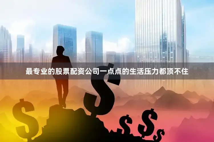 最专业的股票配资公司一点点的生活压力都顶不住